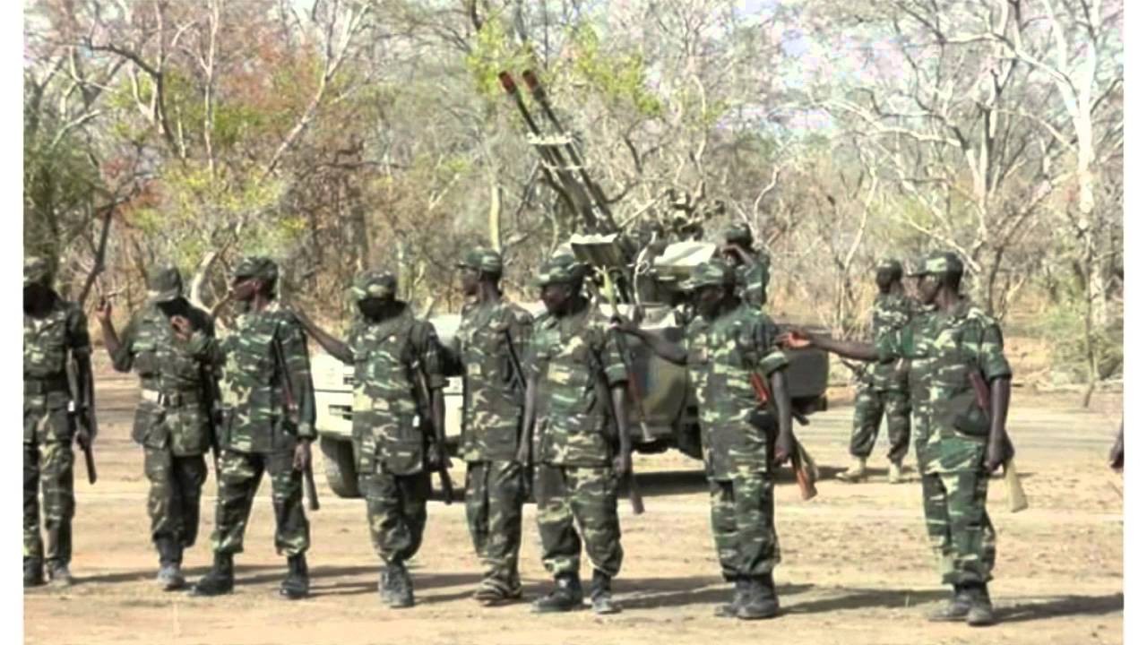 جيش وحركة تحرير السودان